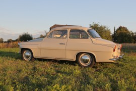 Škoda 440 Spartak, Octavia