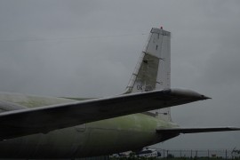 Il-18