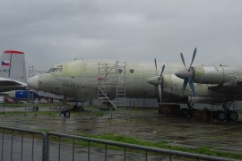 Il-18