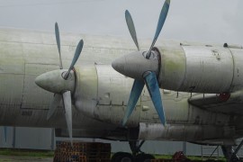 Il-18